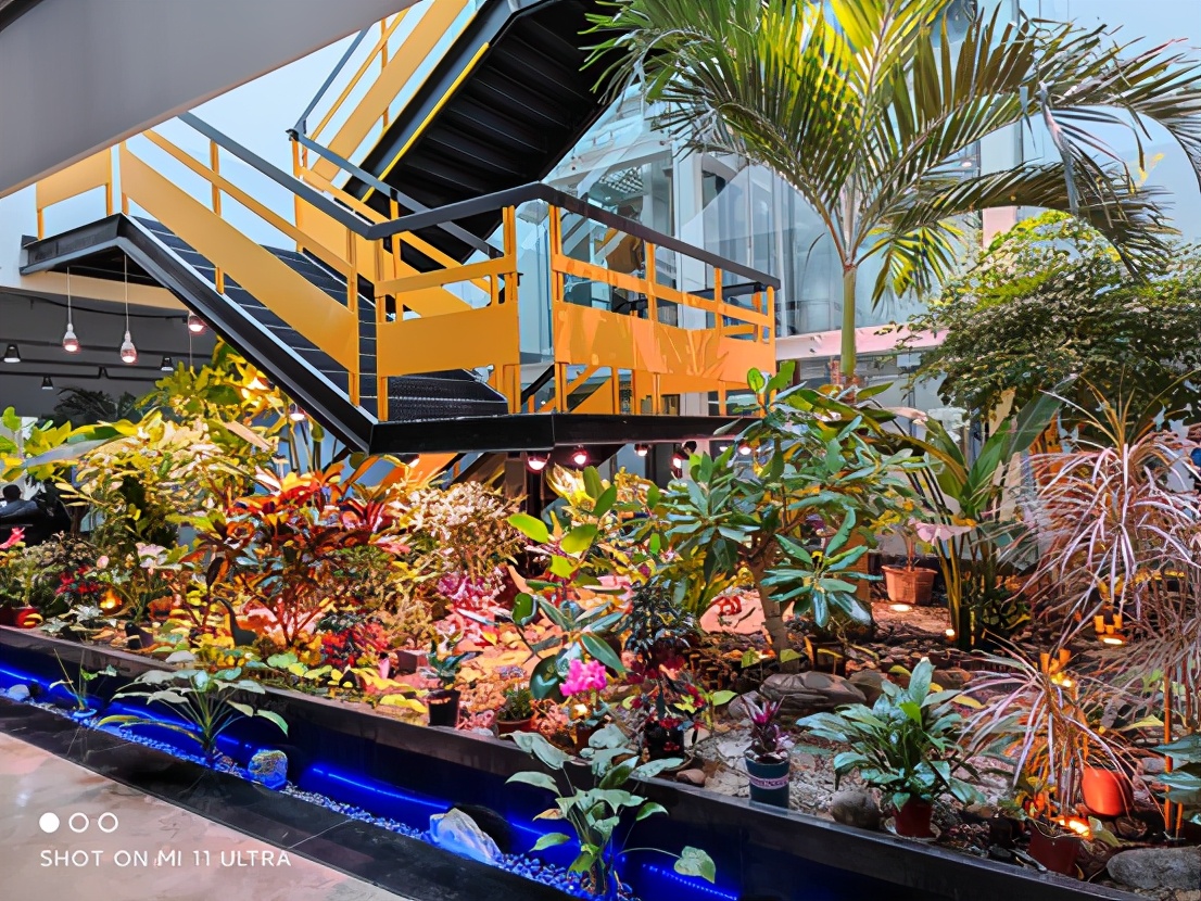 小米11ultra质量怎么样(小米11ultra拍照原图效果)