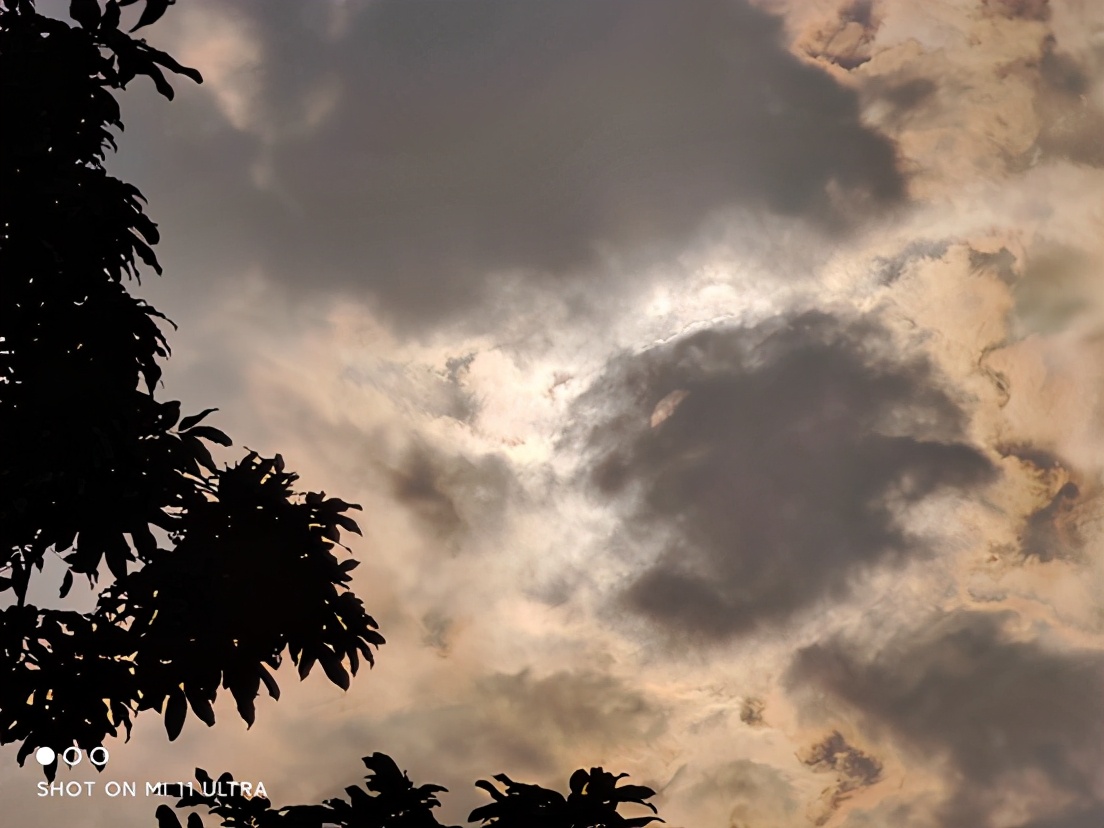 小米11ultra质量怎么样(小米11ultra拍照原图效果)